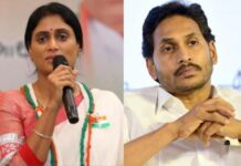 Buzz in Delhi: YS Sharmila Headed to Rajya Sabha from Karnataka?