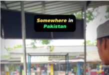 Pakistan cricket fans troll their team as India wins T20 World Cup 2024, Watch the viral video here