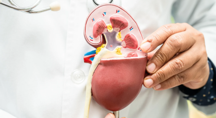 Research on Kidney disease resumes in Srikakulam