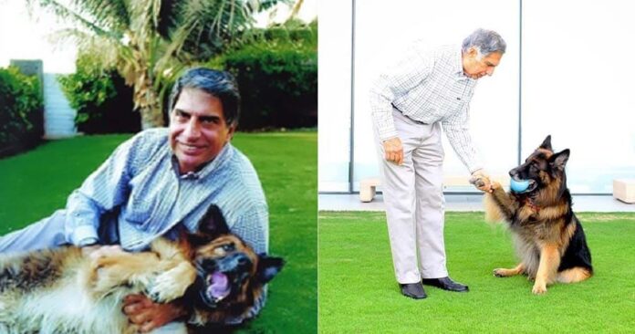Ratan Tata, the visionary who chose compassion over awards, passes away